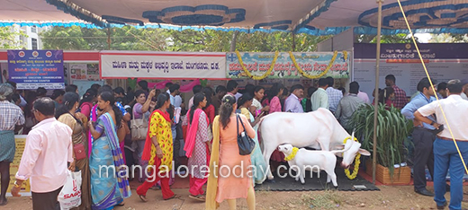 Karavali Utsav Ground